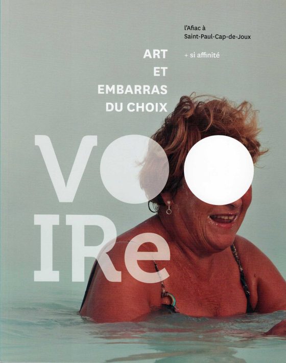 Excerpt from the catalog “Voire, Art et Embarras du choix,” AFIAC, 2012
